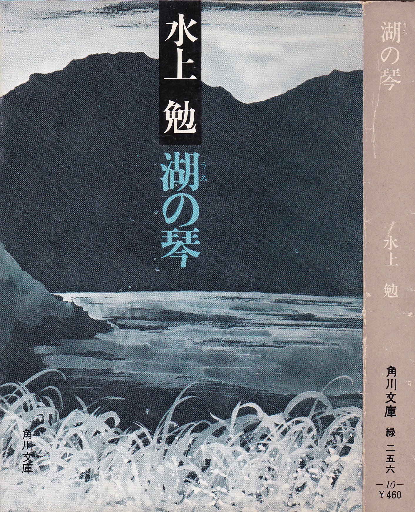 湖の琴（うみのこと）のひょうし