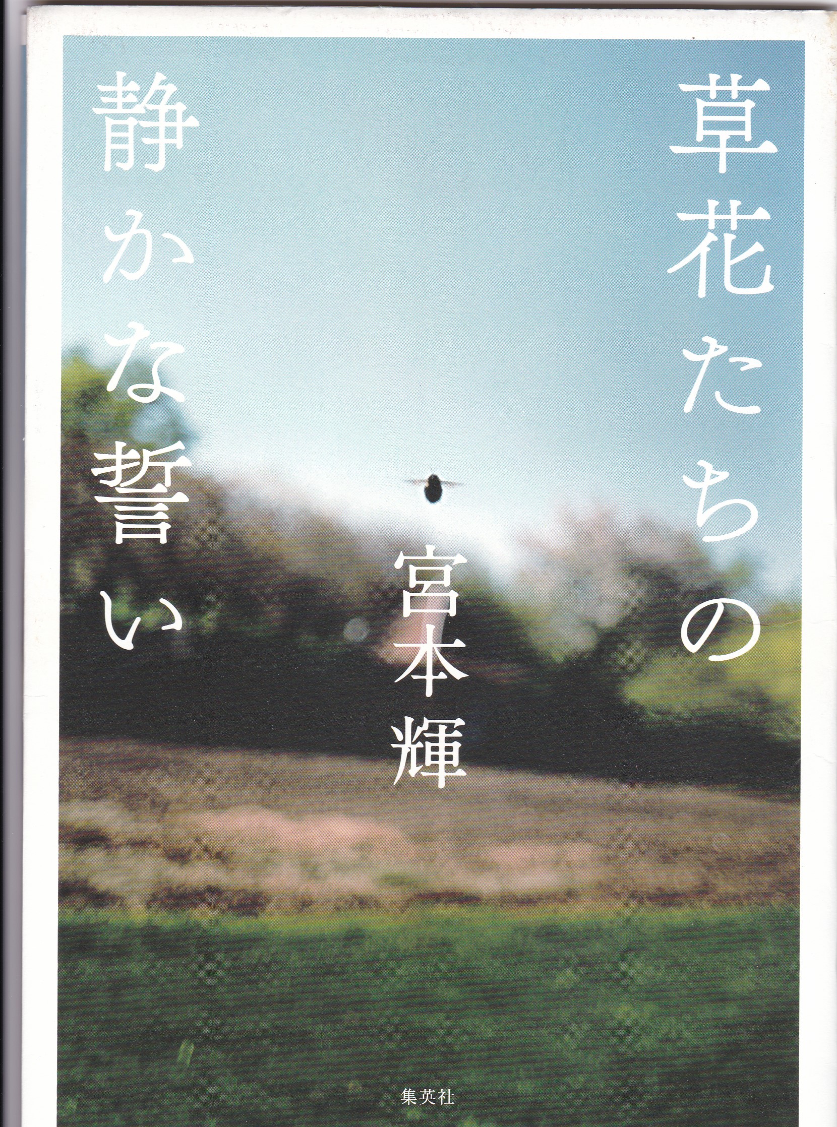 草花たちの静かな誓い（くさばなたちのしずかなちかい）のひょうし